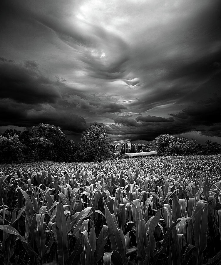 Homesoil Stormed Photograph by Phil Koch