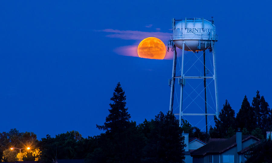 Hometown Moon Photograph by Robin Mayoff