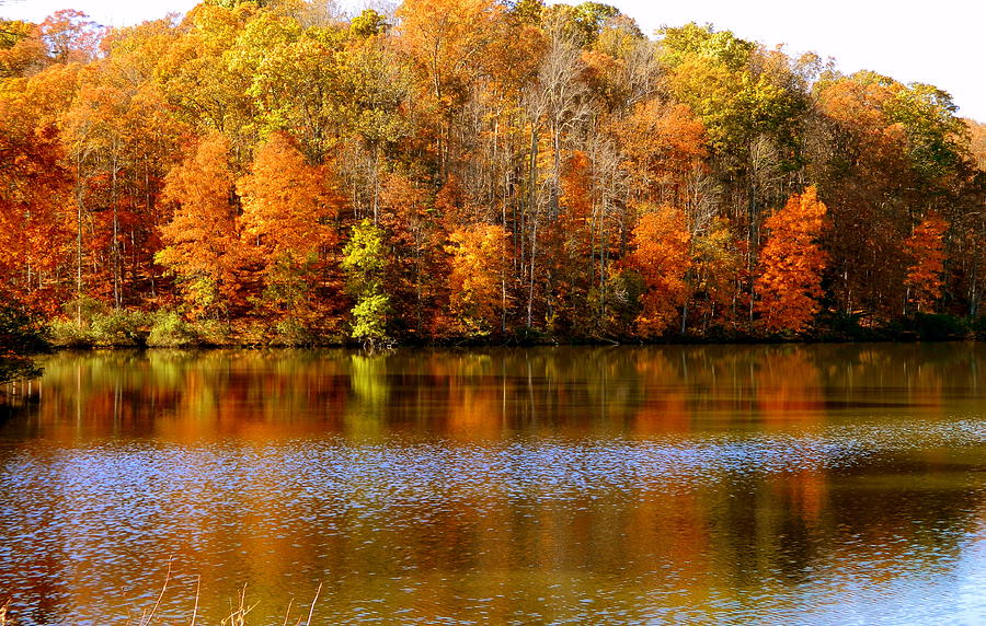 Hometown Series - Chris Greene Lake I Photograph By Arlane Crump - Fine 