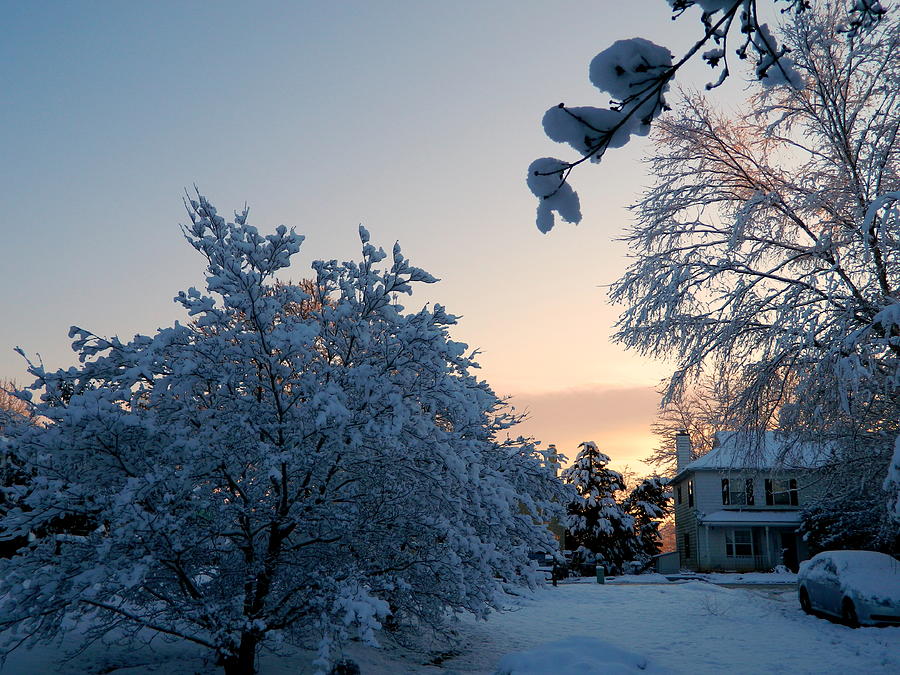 Tree Photograph - HOMETOWN Series - Snowy Sunrise by Arlane Crump