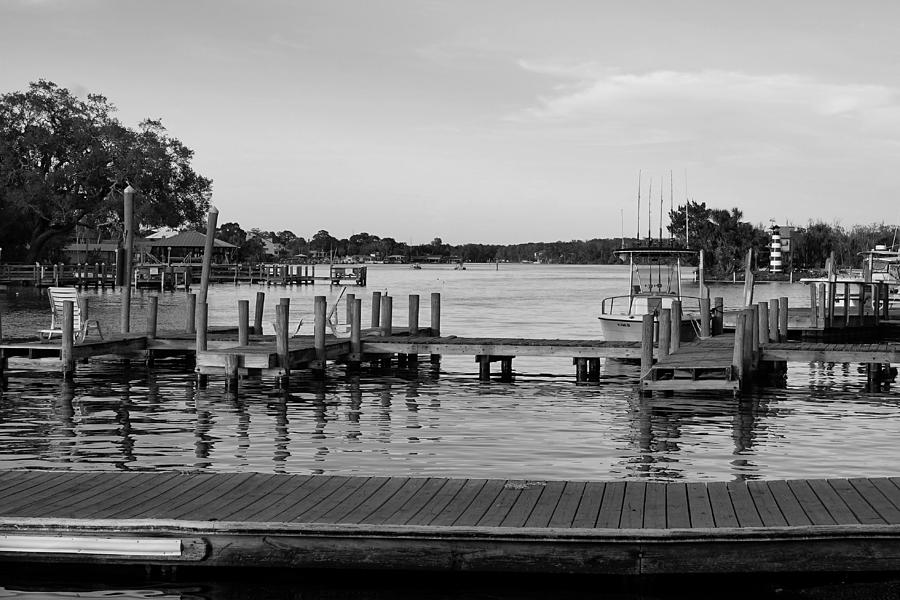 Homosassa  Photograph by Laurie Perry