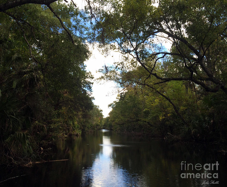 Nature Photograph - Homosassa River by Julia Stubbe