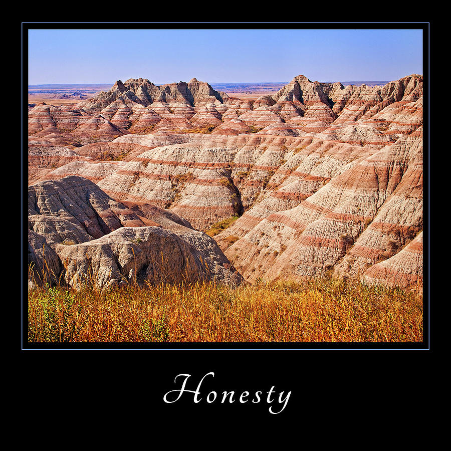 Honesty 1 Photograph by Mary Jo Allen