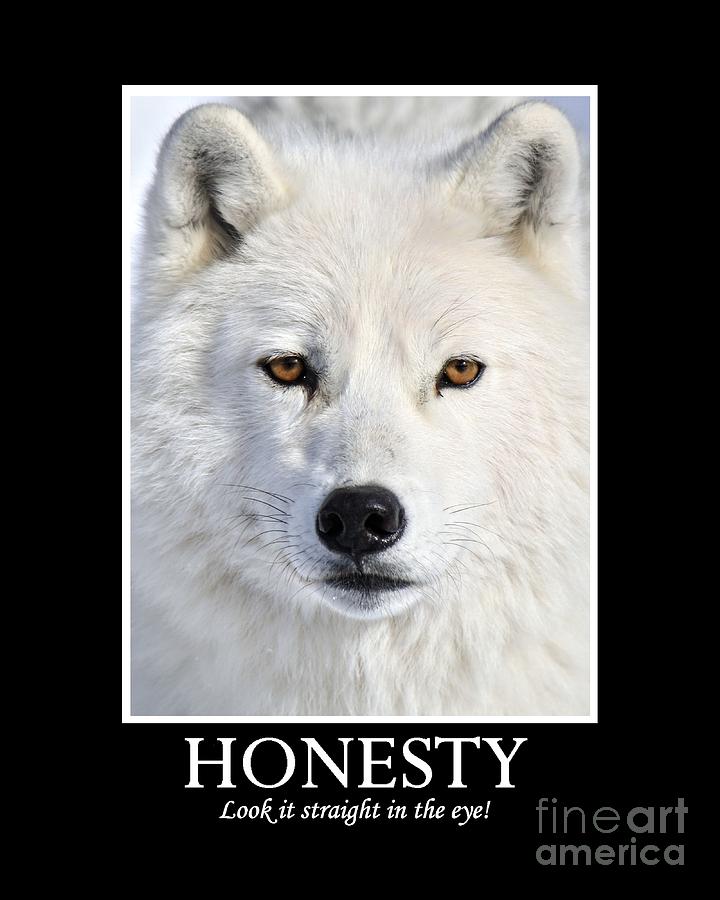 Honesty Photograph by Heather King