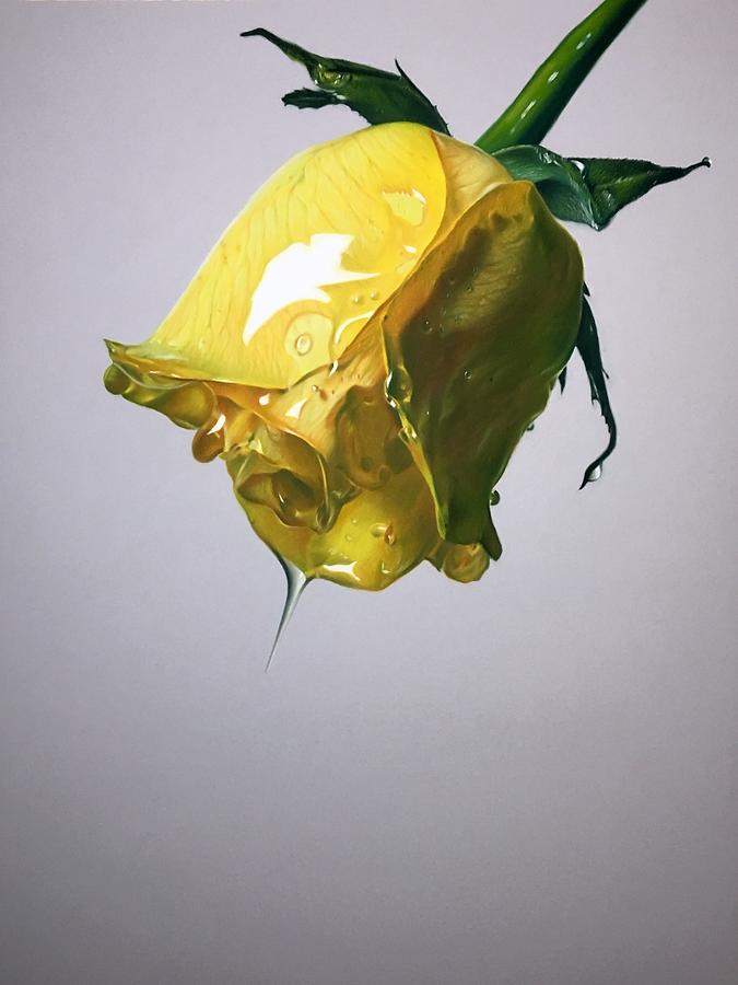 Flowers Still Life Pastel - Honey 4 by Brian Owens