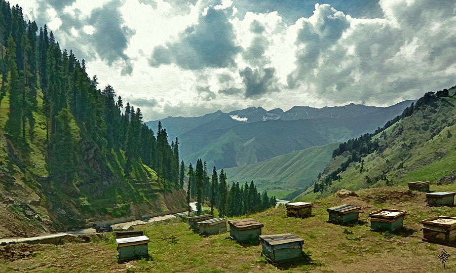 Honey Bee Farm in the Mountains Photograph by Syed Muhammad Munir ul Haq