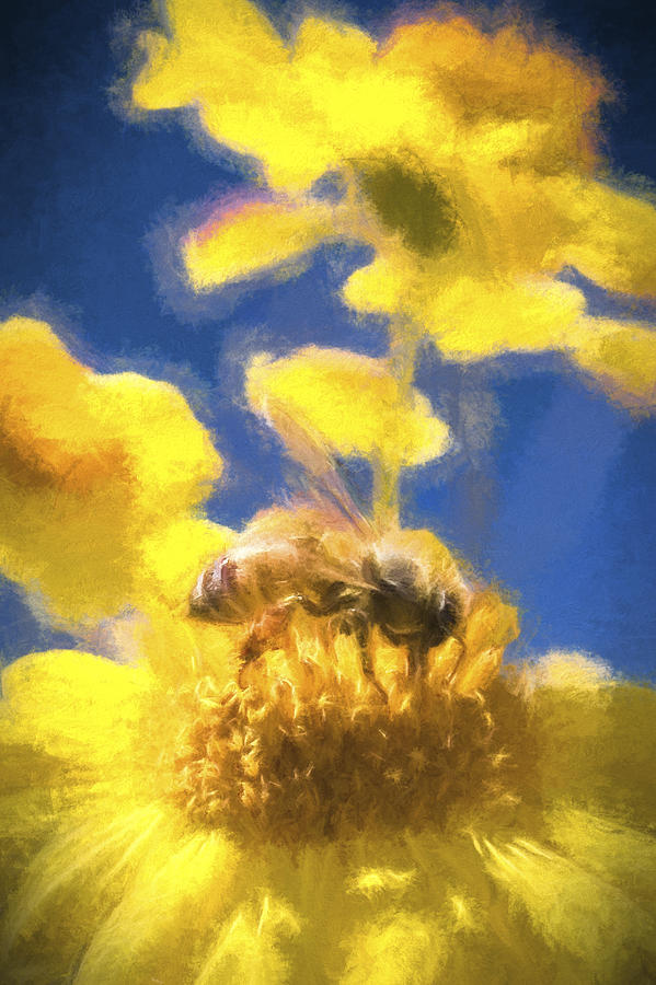 Honey Bee Mountain Daisy Impressionism Study 3 Digital Art by Scott Campbell