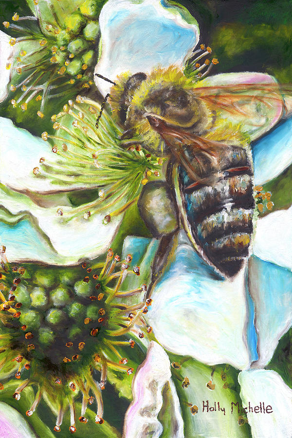 Honey Bee on Blackberry Blossom Painting by Holly Michelle Eroh - Fine ...