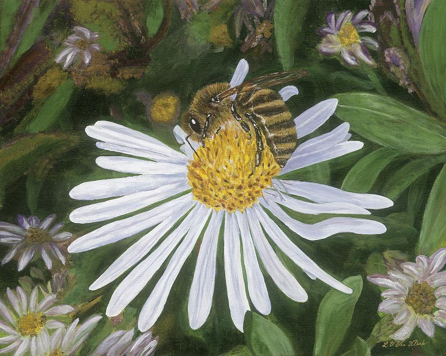 Honey Bee on White Aster Painting by Lucinda VanVleck