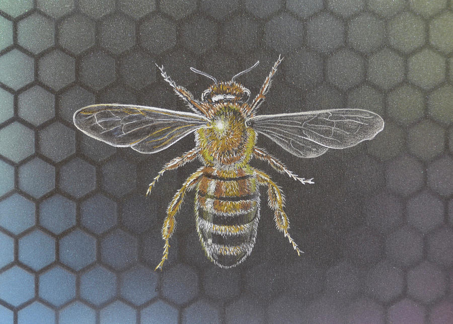 Honey Bee Drawing by Kellie Cooke | Saatchi Art-saigonsouth.com.vn