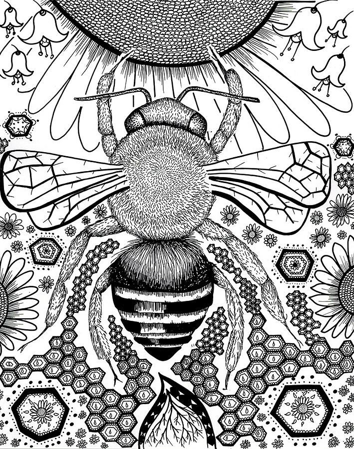 Honey Drawing By Catalina Ariza 