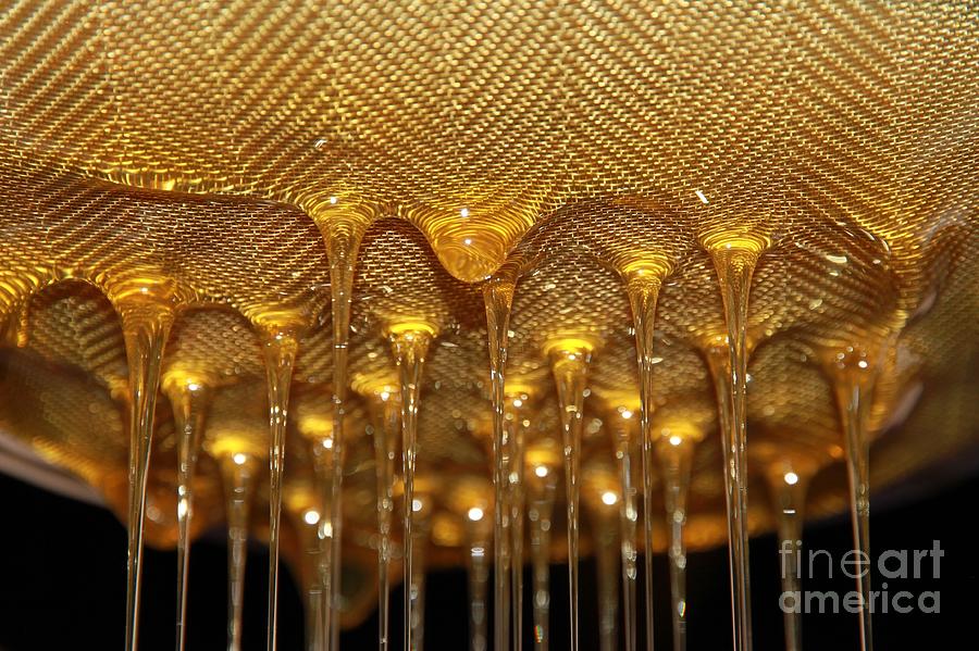 Honey Drip by Stephen Mitchell Honey Drip by Stephen Mitchell