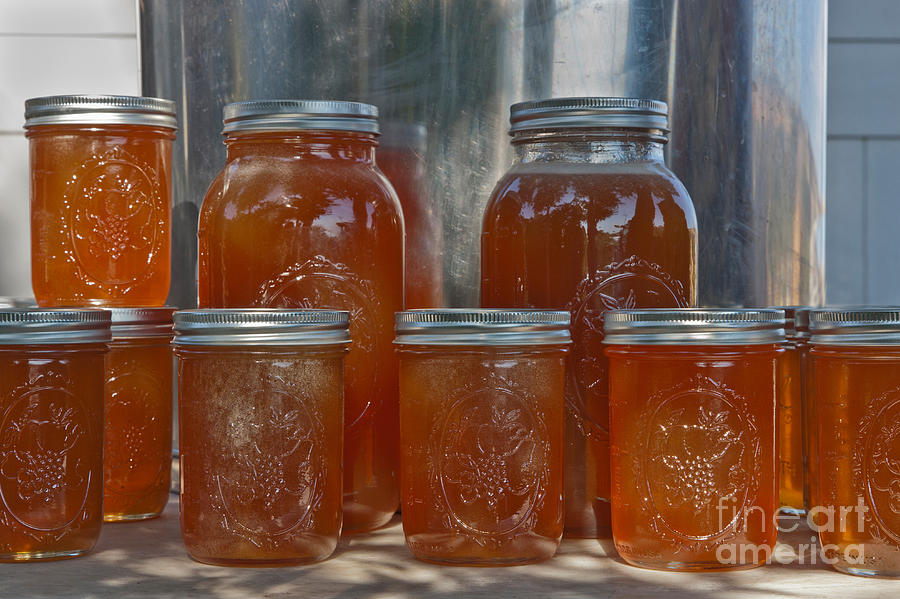 Honey From Peach Blossom Photograph by Inga Spence