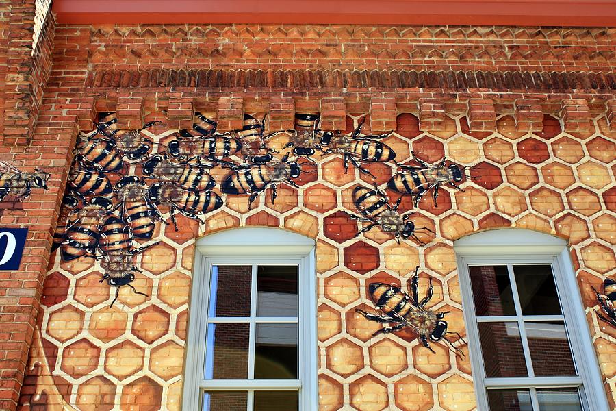 Honeycomb Bee Mural Photograph by Selena Lorraine - Fine Art America