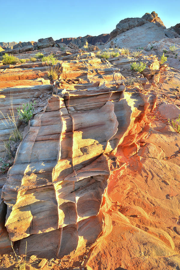 Honeycombed Sandstone at Sunset in Valley of Fire Photograph by Ray Mathis