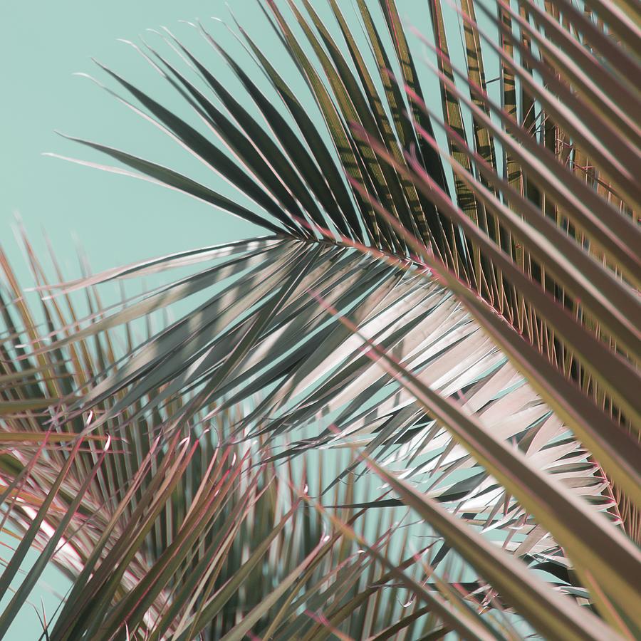 Honeymoon - Tropical Palm Nature Photography Photograph by Debra Cox ...