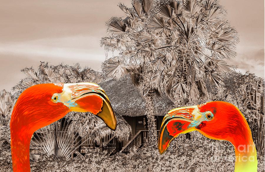 Flamingo Digital Art - Two Flamingo by Janal Koenig