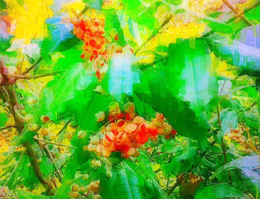 Honeysuckle Berries Photograph by Diane Lindon Coy