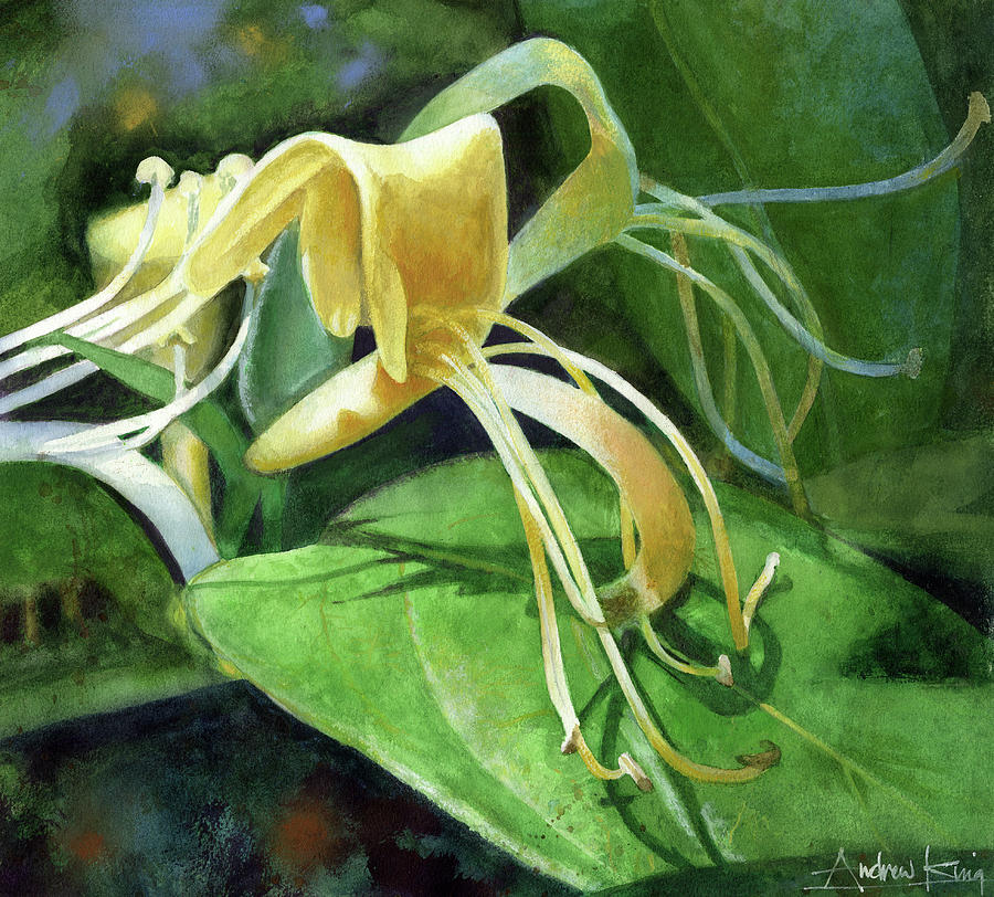 Flower Painting - Honeysuckle Shade by Andrew King