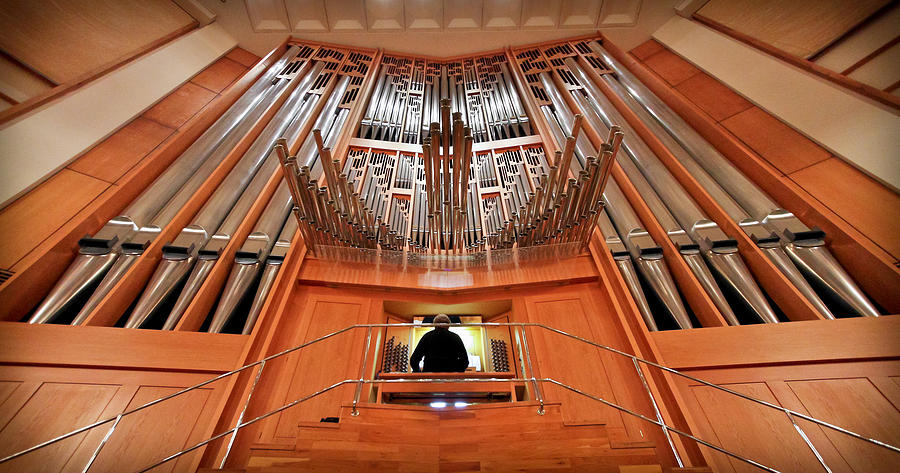 Hong Kong Pipe Organ by Jenny Setchell Hong Kong Pipe Organ by Jenny Setchell