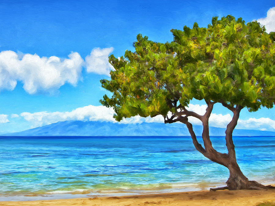 Honokowai Beach Maui Painting by Dominic Piperata