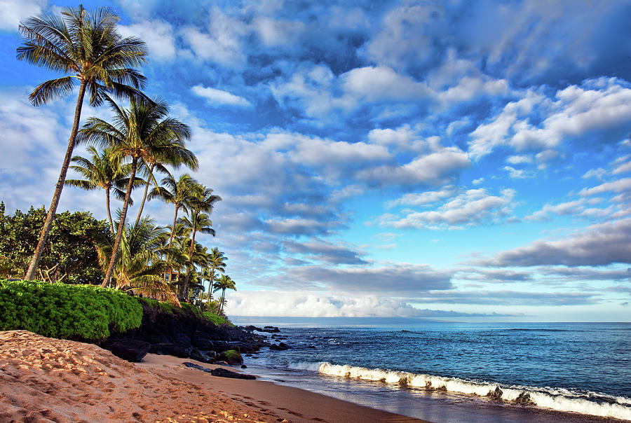 Landscape Photograph - Honokowai Palms by Marcia Colelli Landscape Photograph - Honokowai Palms by Marcia Colelli