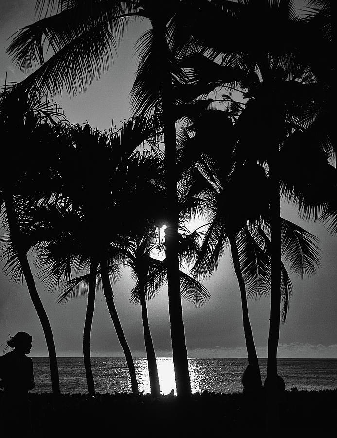 Honolulu Sunset in BandW Photograph by Maria Keady - Fine Art America