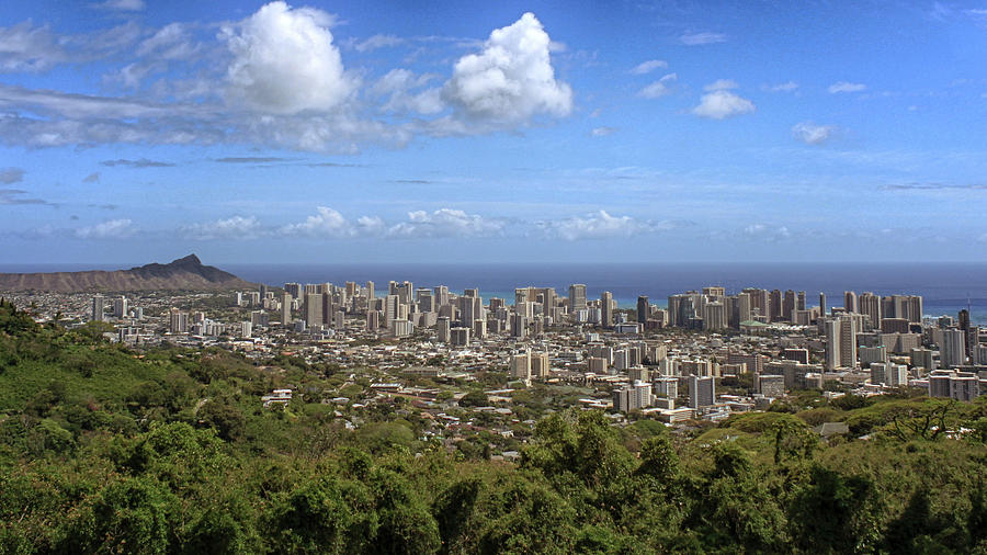 Honolulu Photograph by Susan Rissi Tregoning
