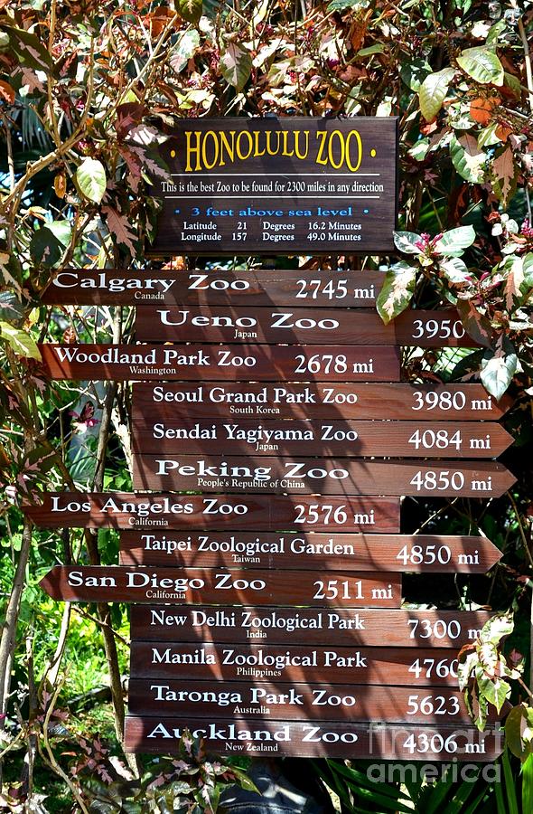 Honolulu Zoo Sign Photograph by Mary Deal