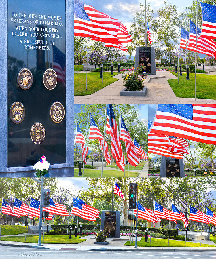 Tree Photograph - Salute to Our Veterans by Brian Tada