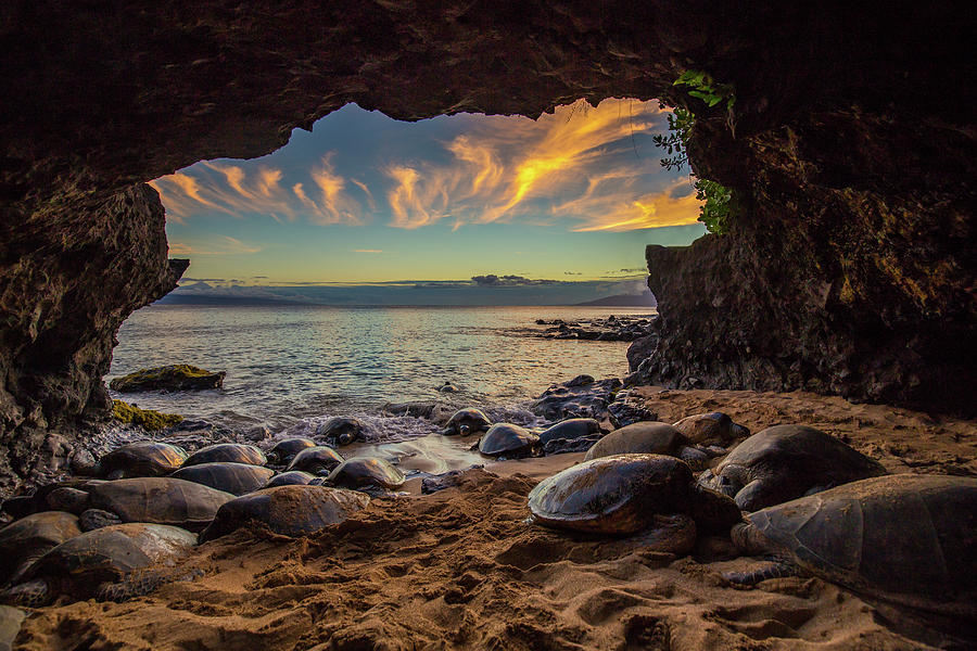 Honu Cave Photograph by Drew Sulock