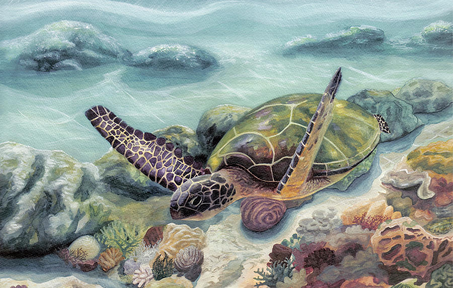 Honu in Midflight Painting by Manupupule - Fine Art America