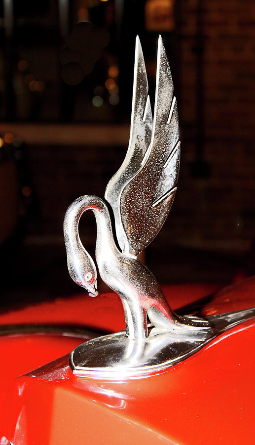 Hood Ornament Photograph by Ira Marcus