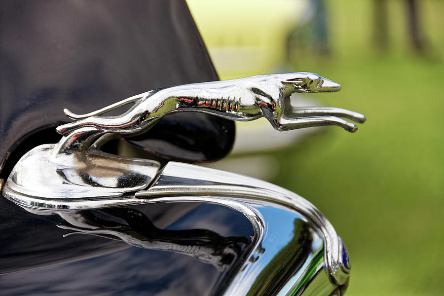 Hood Ornament Photograph By Robert Urwyler - Fine Art America