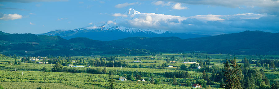 Portland Photograph - Hood River Valley And Mount Hood, Oregon by Panoramic Images