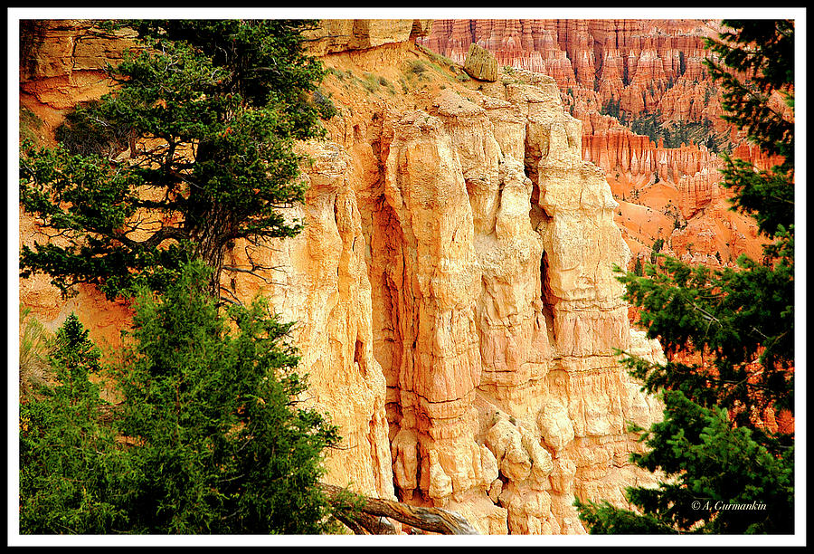 Hoodoo Rock Formations, Bryce Canyon, Utah, USA Photograph by A Macarthur Gurmankin