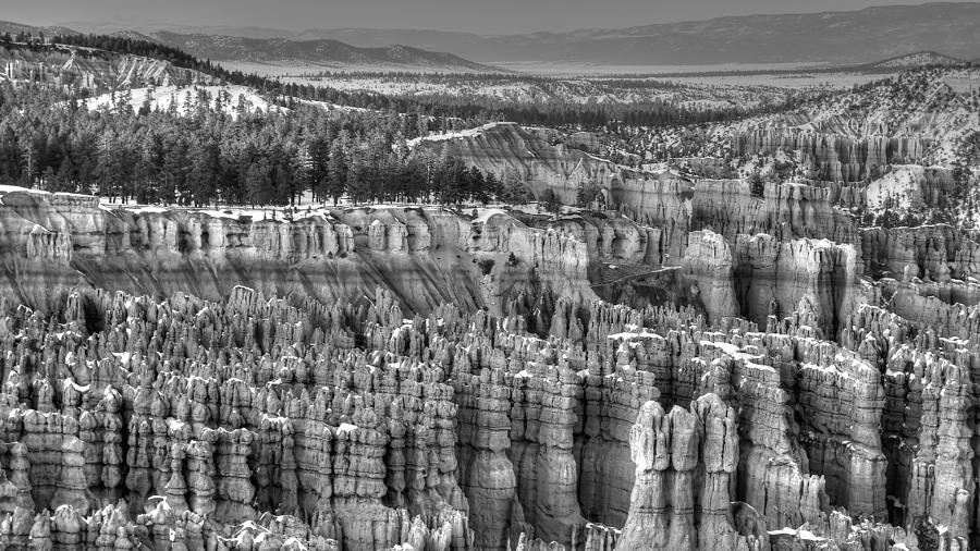 HooDoo Army by Robert Melvin HooDoo Army by Robert Melvin