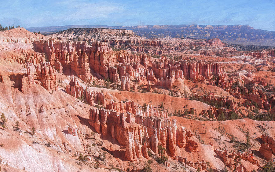 Hoodoo Forest at Bryce Canyon Photograph by John M Bailey