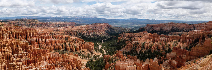 Hoodoos at Bryce Canyon Photograph by Georgette Grossman