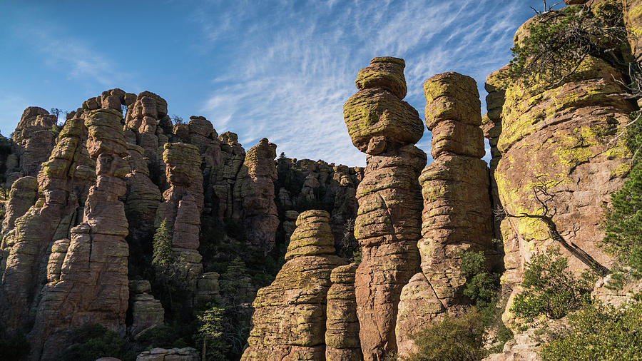 Hoodoos at Chiricahua National Monument in Arizona Photograph by Lawrence S Richardson Jr