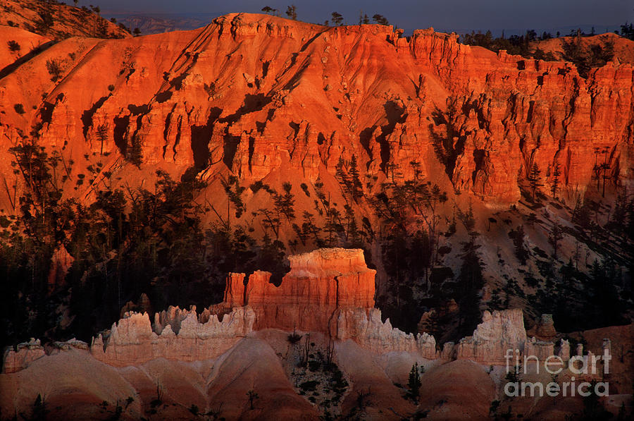Hoodoos At Sunset Bryce Canyon National Park Utah Photograph by Dave Welling