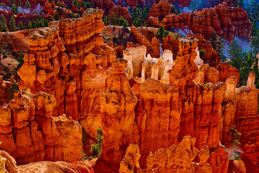 Hoodoos Bryce Canyon Photograph by James BO Insogna