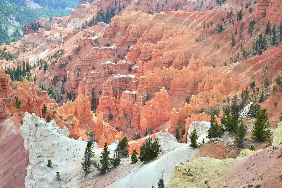 Hoodoos Galore Photograph by Ray Mathis