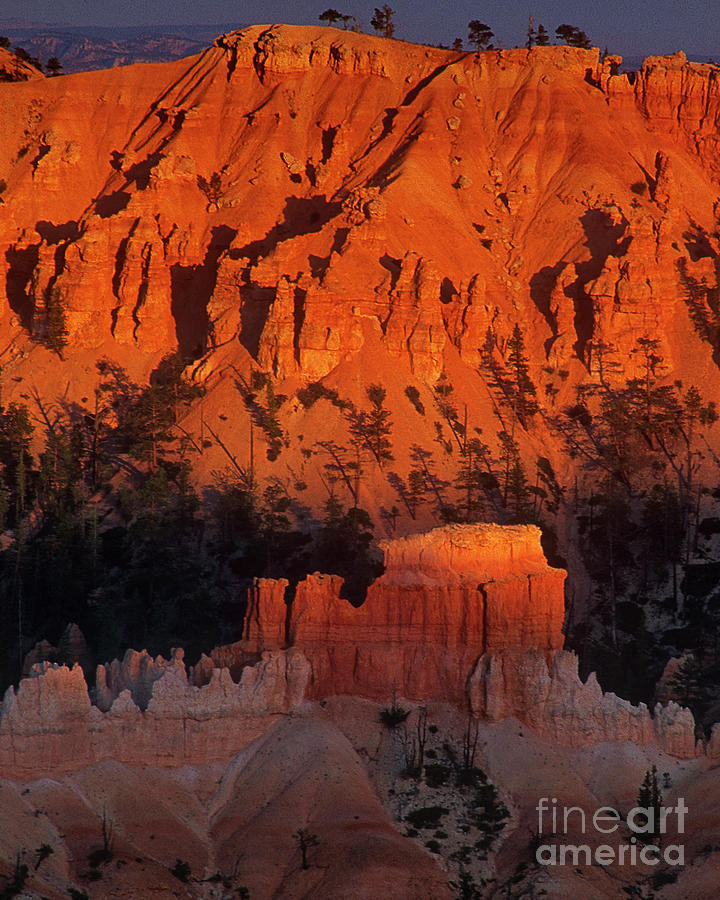 Hoodoos Glow In Sunset Light Bryce Canyon National Park Utah Photograph by Dave Welling