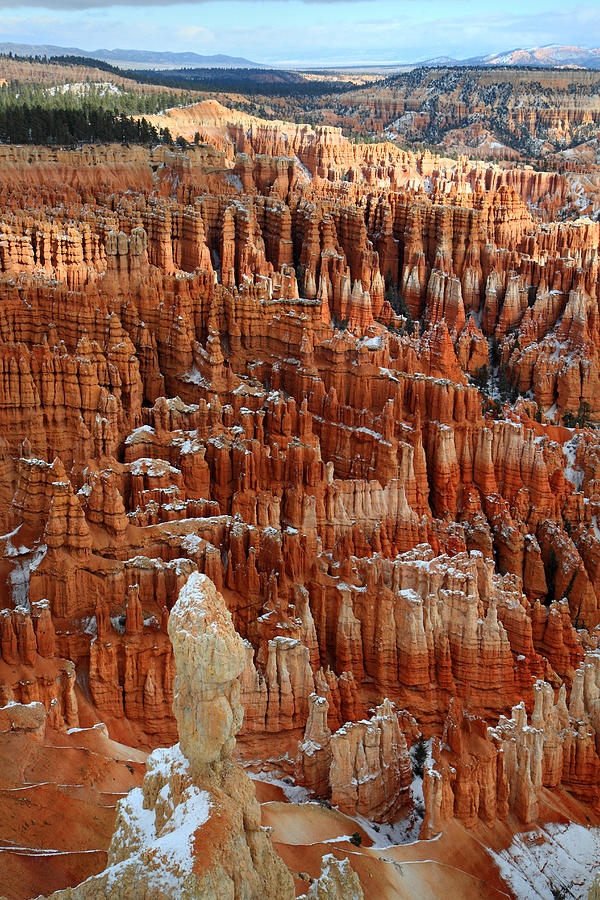 Hoodoos in Bryce Canyon Photograph by Pierre Leclerc Photography