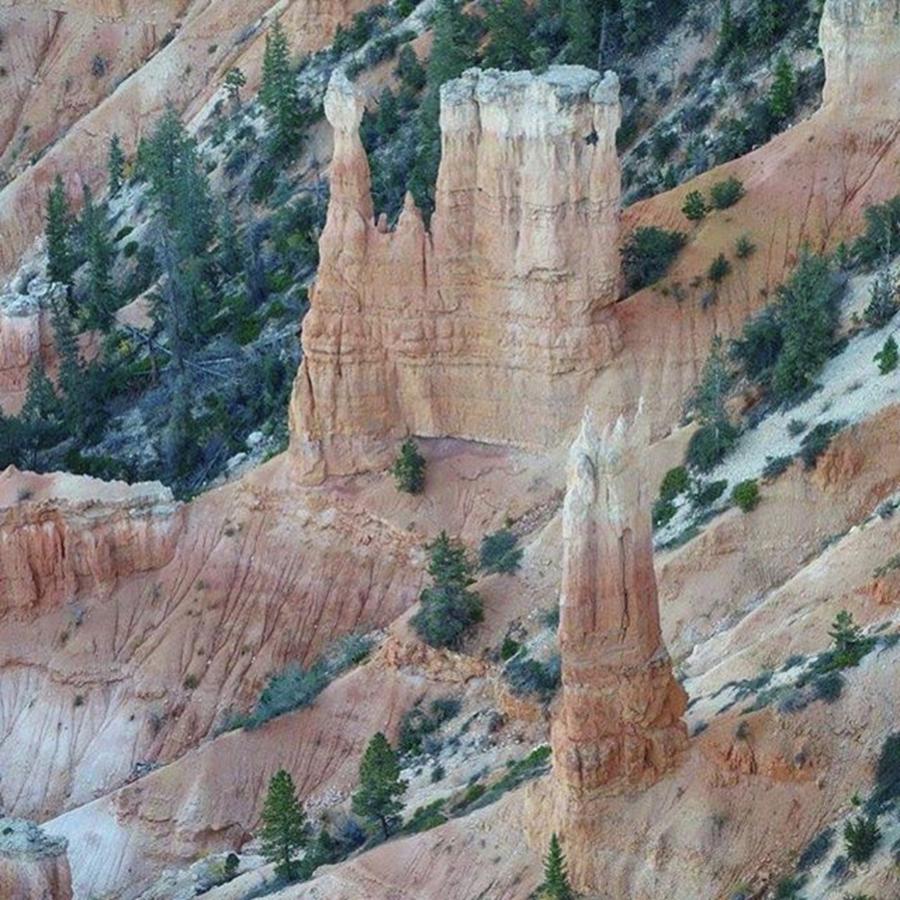 Nps Photograph - #hoodoos In #brycecanyonnationalpark by Patricia And Craig