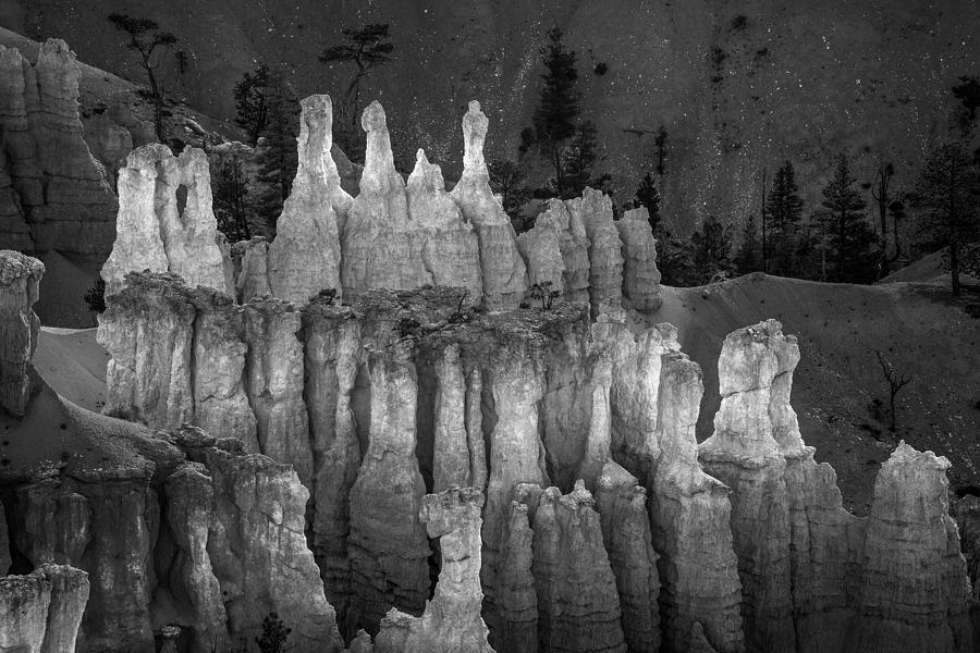 Bryce Canyon National Park Photograph - Hoodoos in Monochrome by Joseph Smith