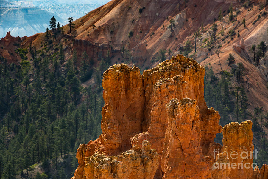 Hoodoos of Bryce Canyon Photograph by Doug Sturgess
