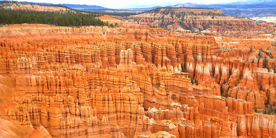 National Parks Photograph - Hoodoos of Bryce Canyon by Gordon Elwell