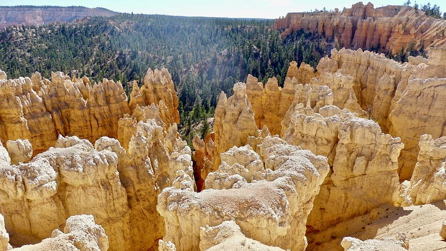 Bryce Canyon Photograph - Hoodoos of Gold by Travis Deaton